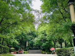 -清凉山国家森林公园