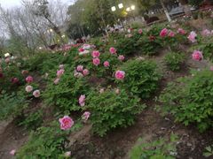 -江南大学(蠡湖校区)