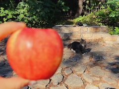 -北京西山国家森林公园