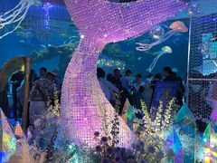 -海合安青岛极地海洋公园