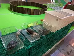 -宁波国际会展中心