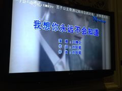-自由港KTV(王子公主金平店)