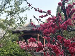 -元大都城垣遗址公园