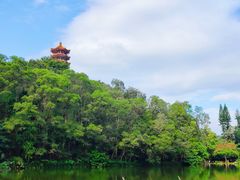 -深圳仙湖植物园
