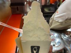 -野人先生现做冰淇淋(北京王府井东方新天地店)
