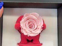 -ROSEONLY诺誓(广州K11店)