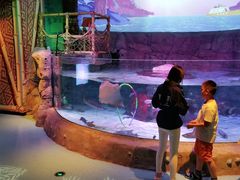 -沈阳海洋探索中心