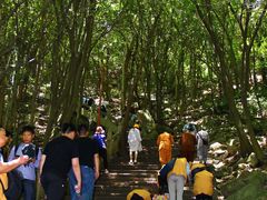 -普陀山风景区-佛顶山