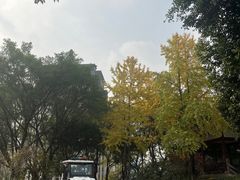 -大渡口区义渡公园