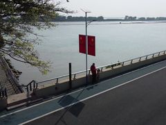 -大湾区中央湿地公园