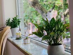 -蝶舍·MAISON PAPILLON