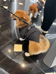 -希乐曼艺术中心·婚礼·活动·宴会厅(南山店)