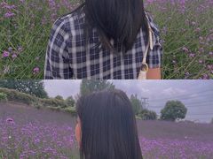 -紫颐香薰山谷景区
