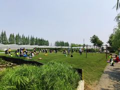 -前小桔亲子创意农场·草莓采摘·露营烧烤