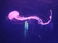-乌鲁木齐海洋馆