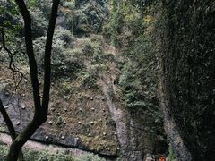 -青城山