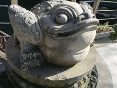 -活水公园