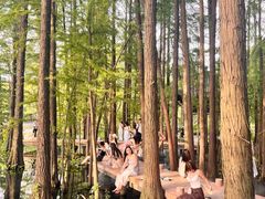 -东湖落雁景区