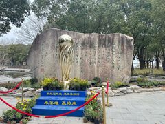 -溱湖国家湿地公园