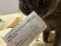 -半岛宠物医院24小时(科华中路店)