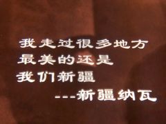 -纳瓦新疆菜(银都店)