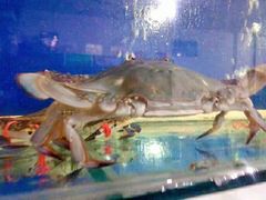 -兆辉木炭海鲜烧烤·海鲜小炒