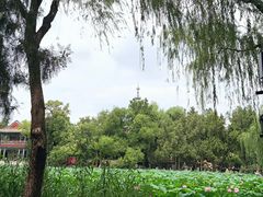 -莲池书院博物馆