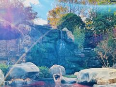 -七彩云南古滇温泉山庄