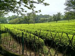 -凤凰沟景区
