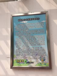 -酷酷兔少儿拓展天地