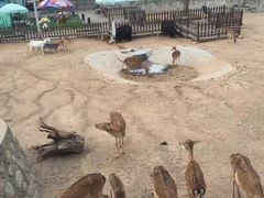 -西安秦岭野生动物园