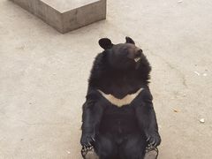-保定市动物园