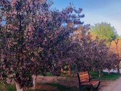 -元大都城垣遗址公园