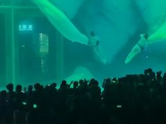 -烟台海昌鲸鲨海洋公园