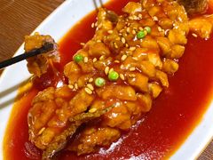 松鼠鱼-蓝田印象