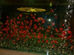 android_upload_pic-碧涛阁·泡泡海洋·汤泉洗浴(王府花园店)