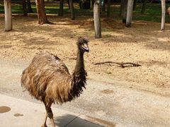 -广州长隆野生动物世界