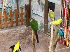 -杭州开元森泊度假乐园