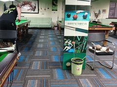 -新新潘晓婷台球俱乐部(周浦店)