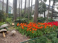 -上海醉白池公园
