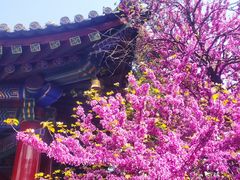 -西安市广仁寺