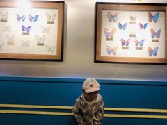 -上海昆虫博物馆