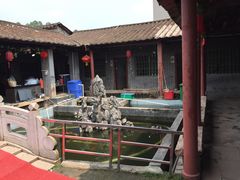 -八姑农庄·广府西江菜·云南野生菌