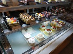 -幸福鸟动物奶油生日蛋糕(军校店)