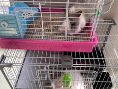 -小意思咖啡店(草桥店)