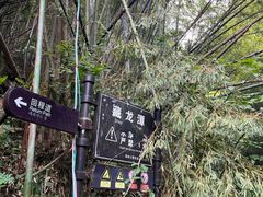 -藏龙百瀑风景区