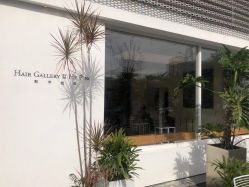 -Hair  Gallery
