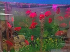 -雅悦齿科(顾村公园店)