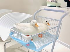 -怪兽屋·羊驼·猫咖·狗咖(俊华广场店)