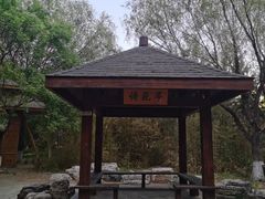 -大兴滨河森林公园